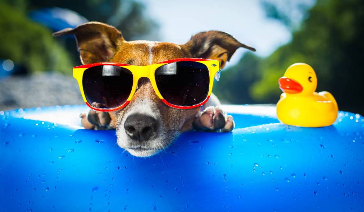shutterstock_148509158.jpg