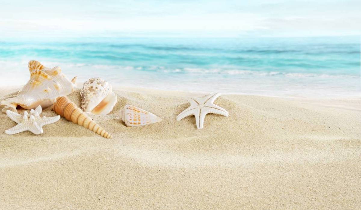 shutterstock_140103970.jpg