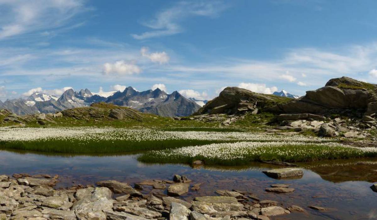 shutterstock_150545111.jpg